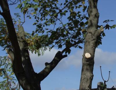 Прикрепленное изображение: 002.jpg